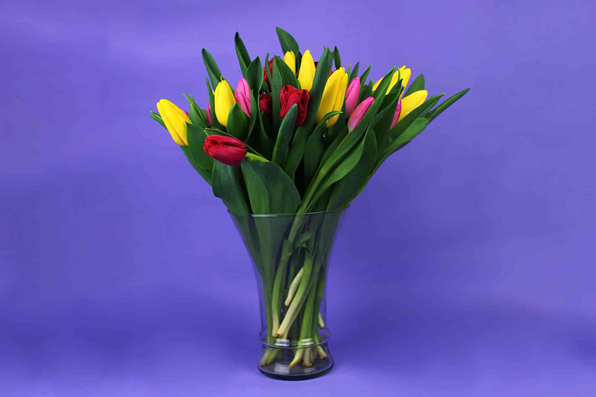 Jarrón de tulipanes