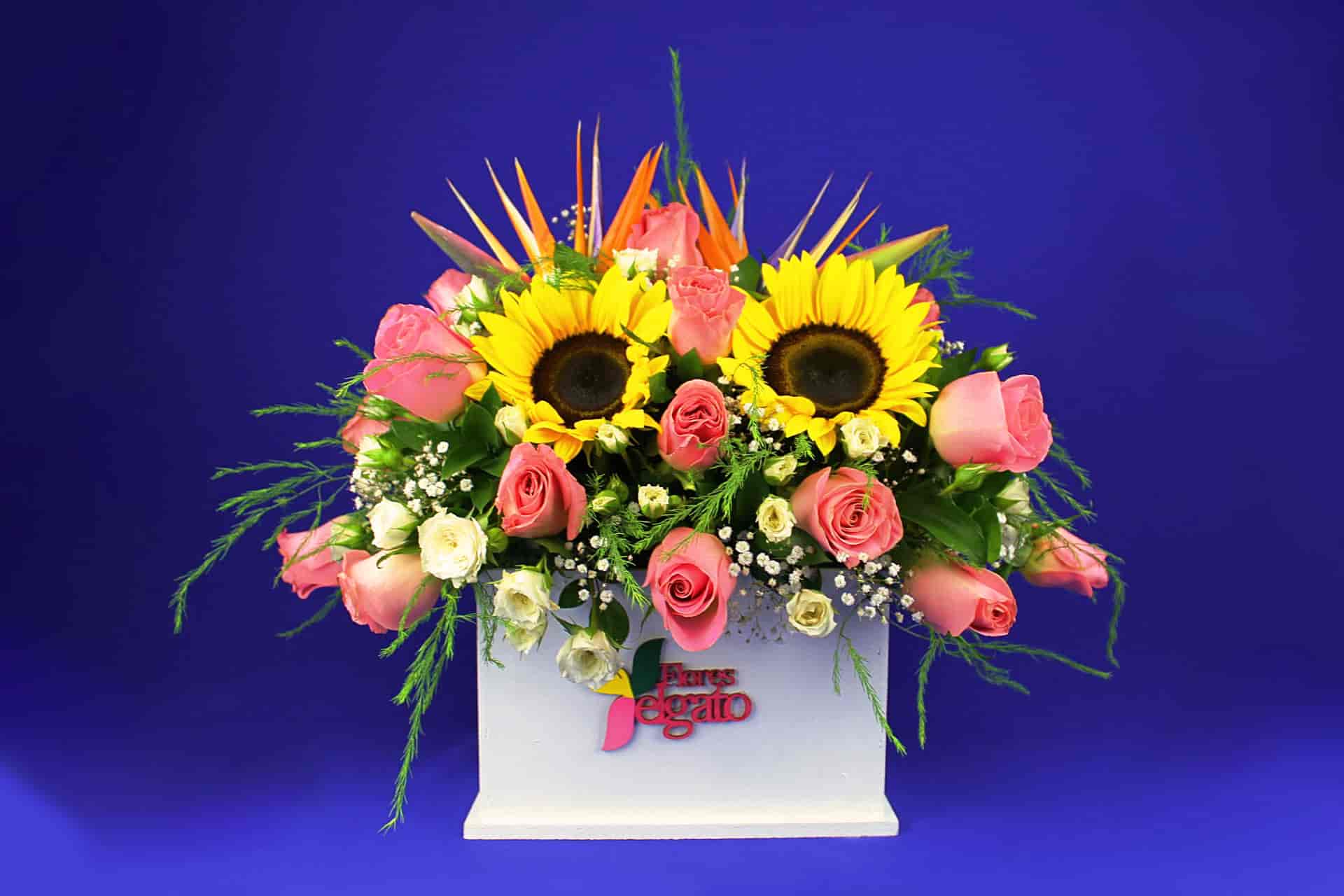 Caja de girasoles