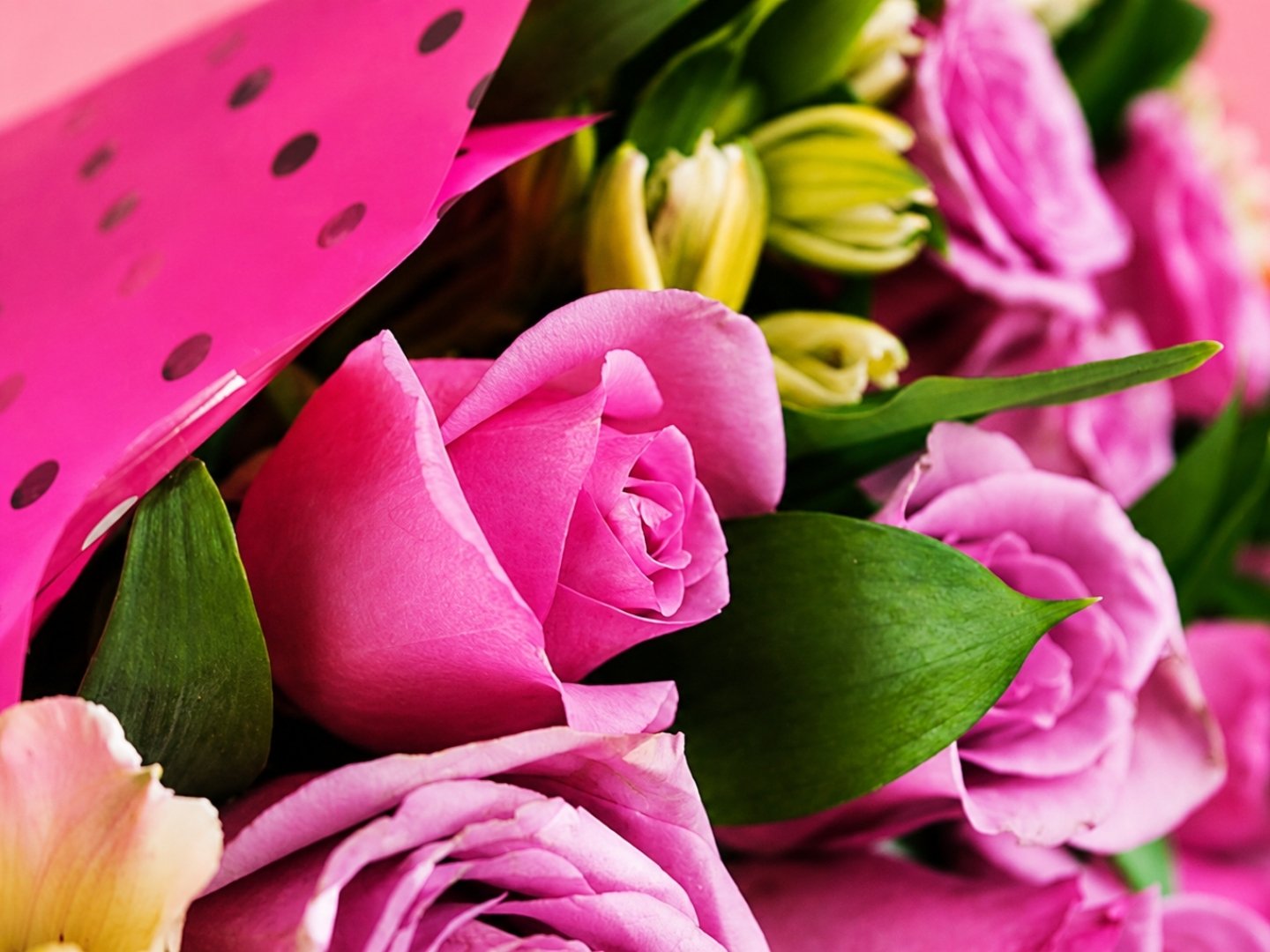 Ramo 24 Rosas Lila
