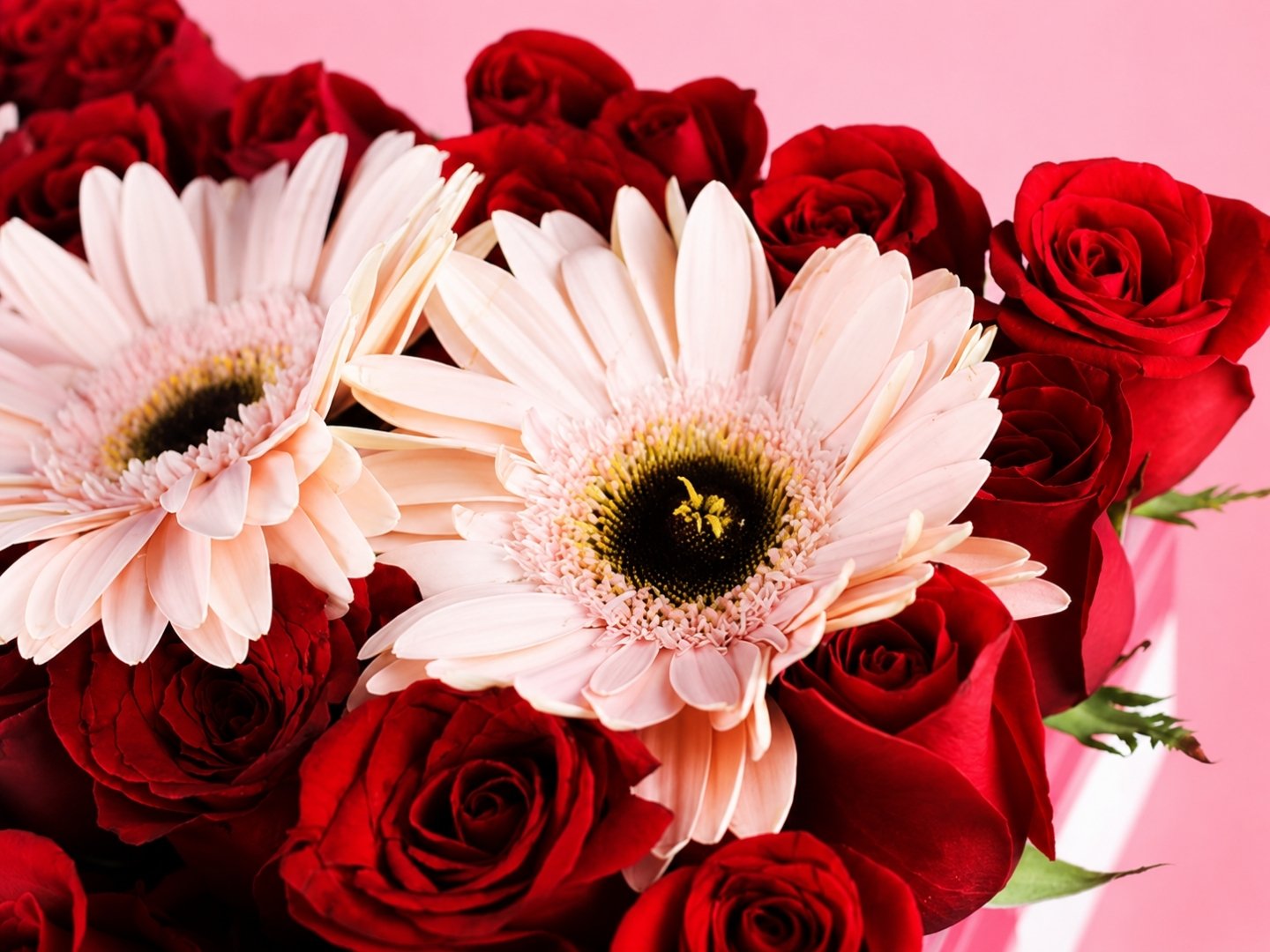 Caja con 30 Rosas más Gerbera