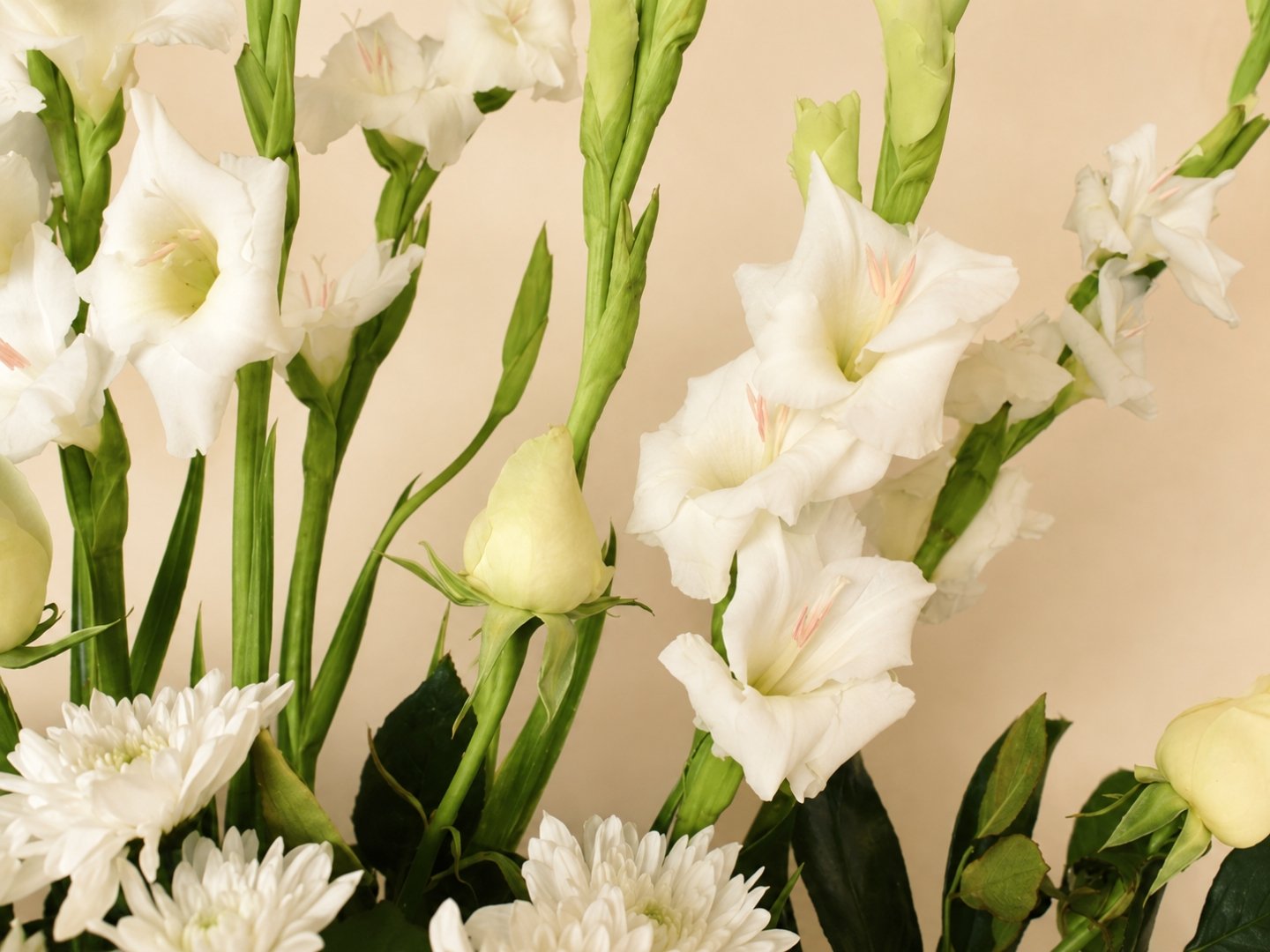 Arreglo Fúnebre con Rosa Blanca