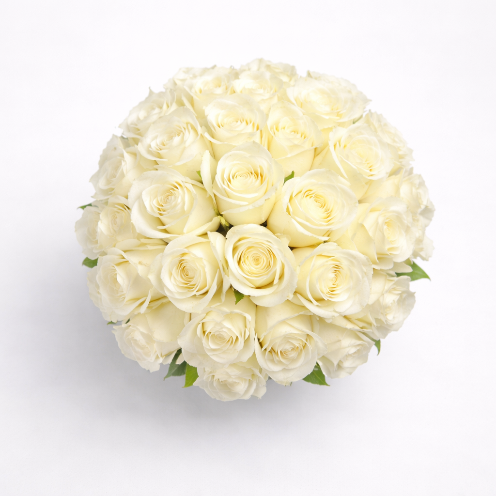 RAMO DE NOVIA 50 ROSAS