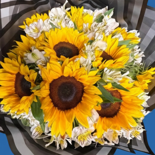 Ramo de 10 Girasoles con alstromeria