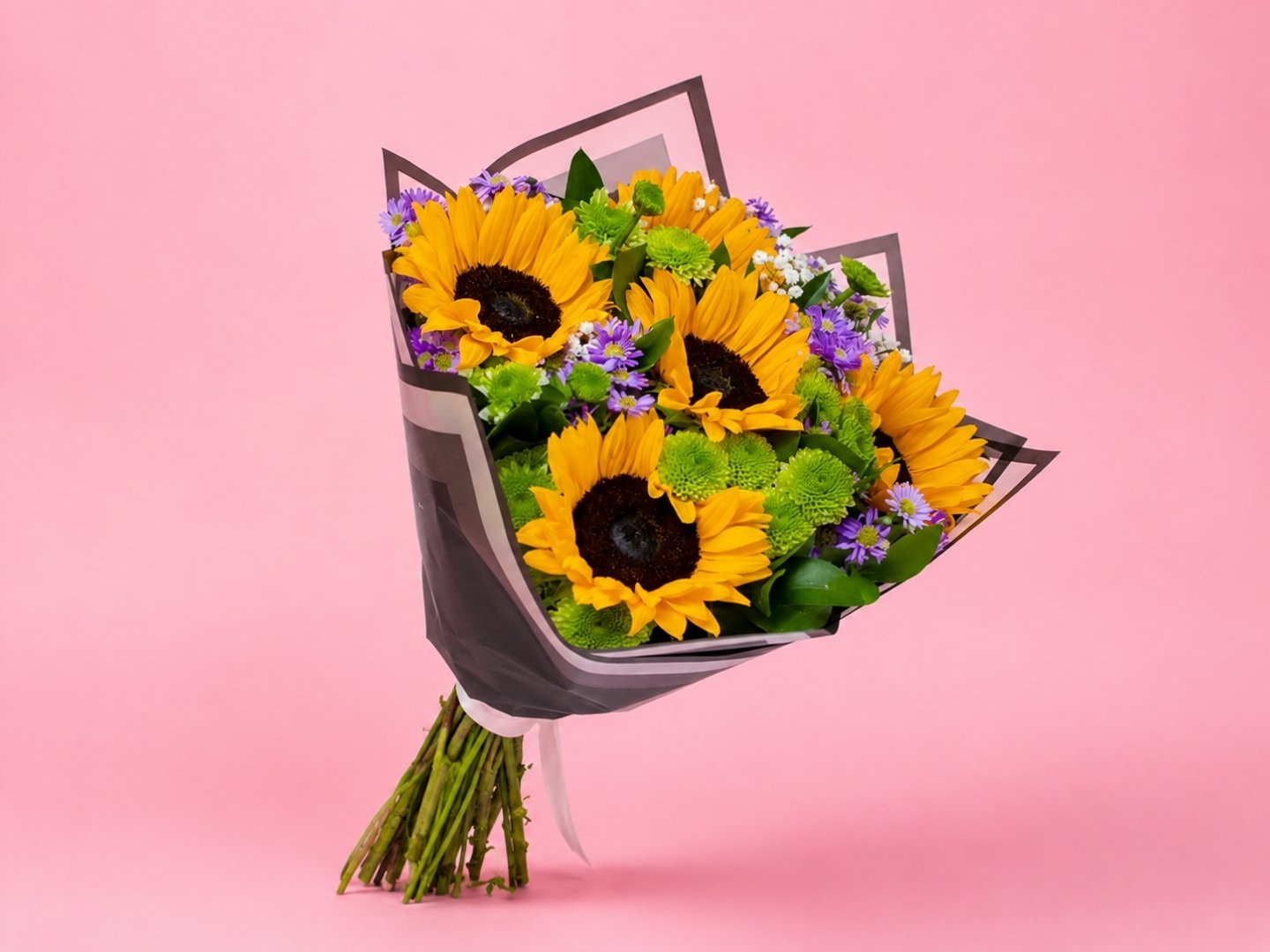 Ramo Girasoles, Montecasino y Yoko
