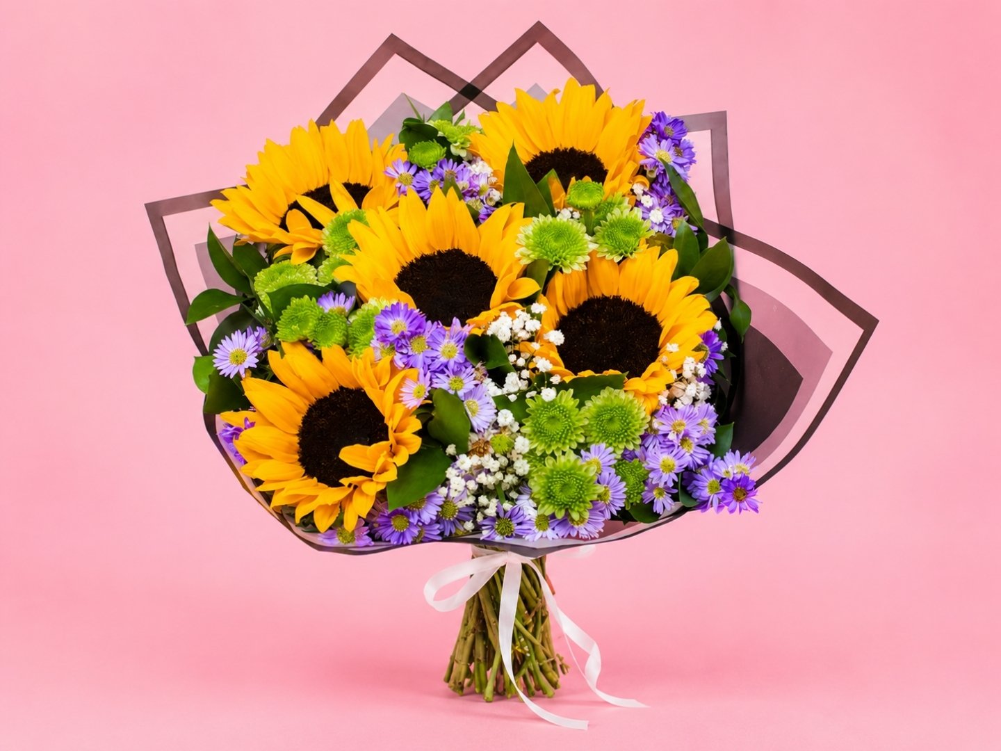 Ramo Girasoles, Montecasino y Yoko