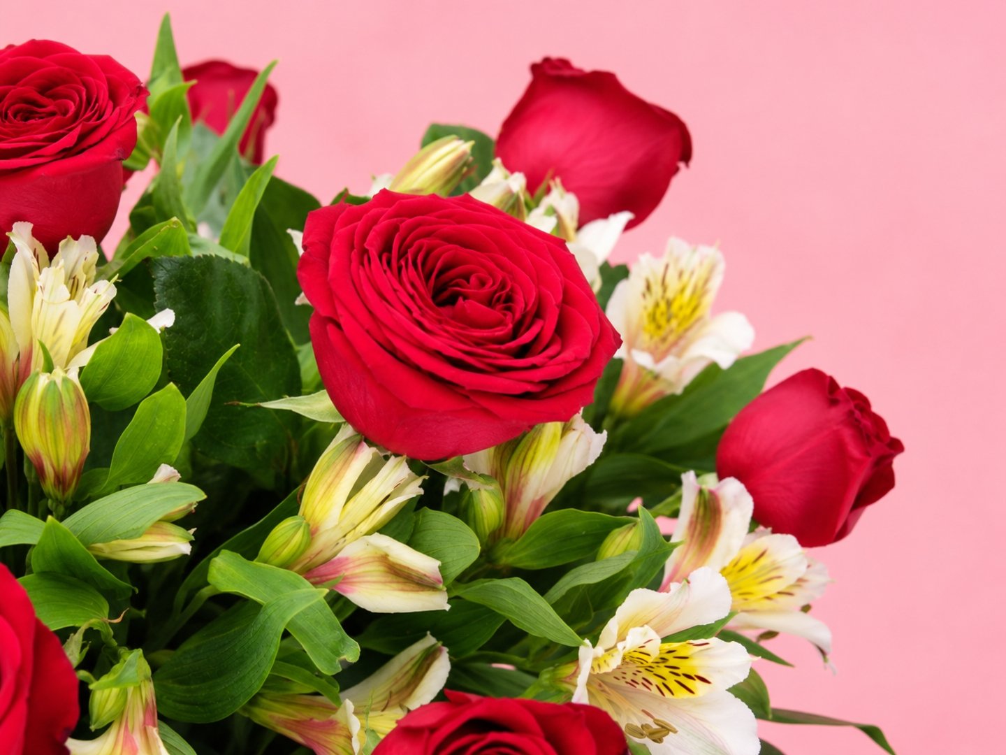 24 Rosas en Jarrón