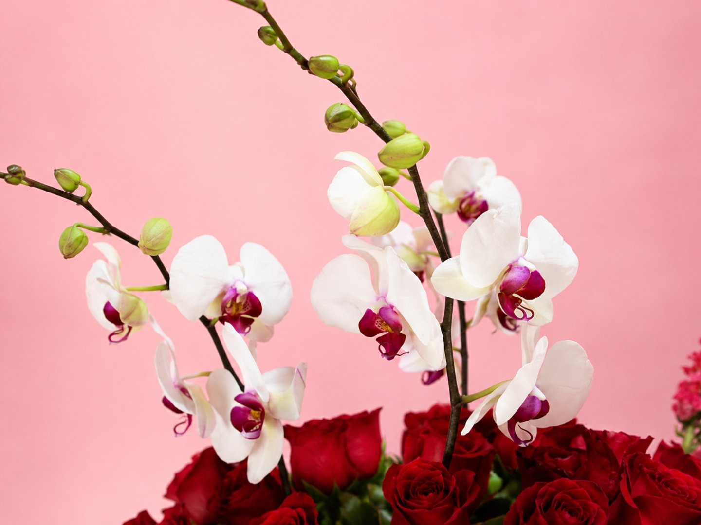 Esfera Floral con 200 Rosas, Orquídeas y Lisianthus