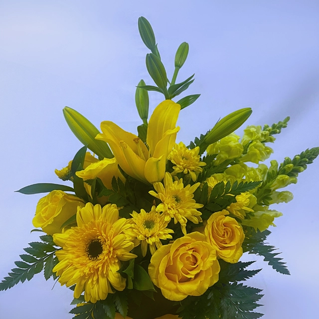 CAJA DE GIRASOL ARMONÍA