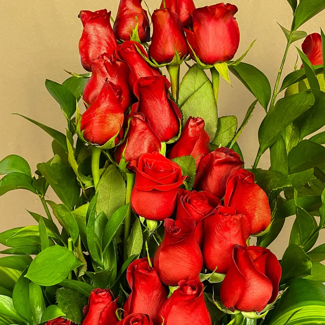 Box "Te Quiero Mucho"