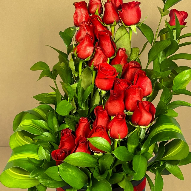 Box "Te Quiero Mucho"