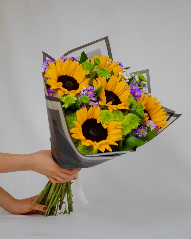 Ramo Girasoles, Montecasino y Yoko