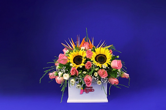 Caja con Girasol y Aves de Paraíso