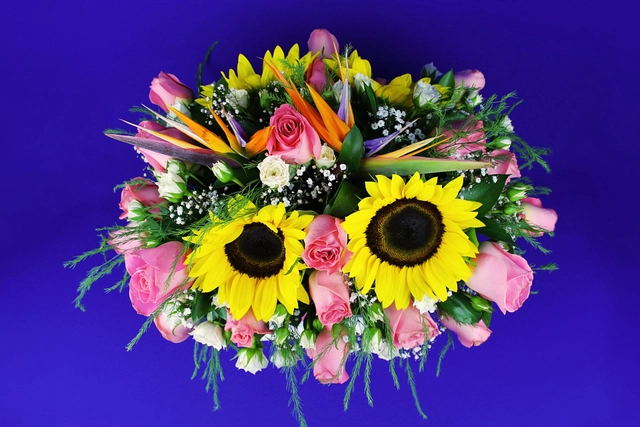 Caja con Girasol y Aves de Paraíso