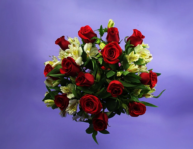 Florero con 14 Rosas Rojas y Alstroemeria