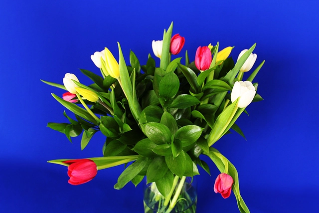 Jarrón de 15 Tulipanes