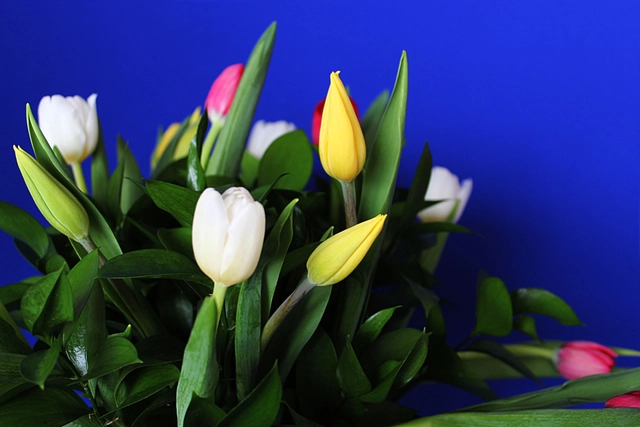 Jarrón de 15 Tulipanes