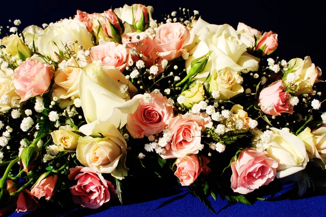 Cubre cajas con Perrito