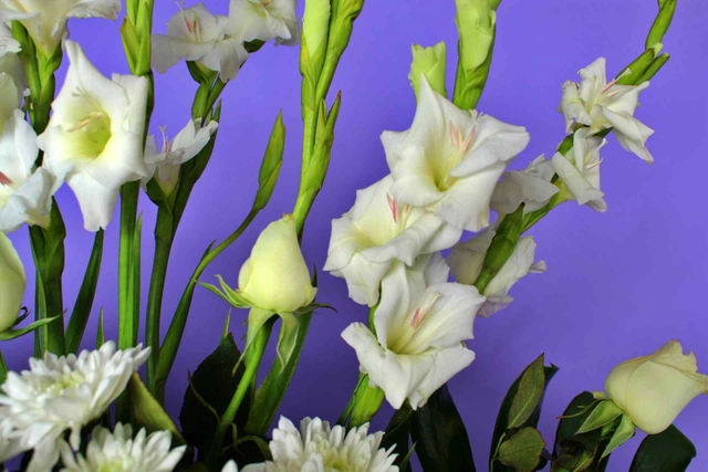 Arreglo Fúnebre con Rosa Blanca