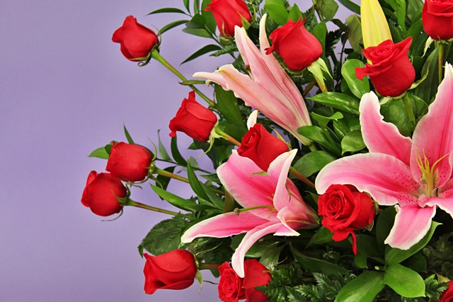 Canasta con 36 Rosas Rojas y Stargazer