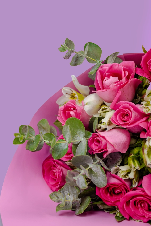 Bouquet Sensación de 24 Rosas Rosas