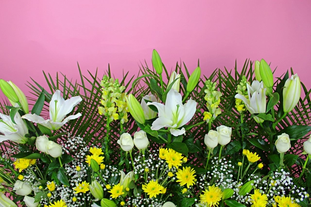 Jardinera con Margarita