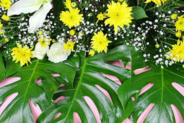 Jardinera con Margarita