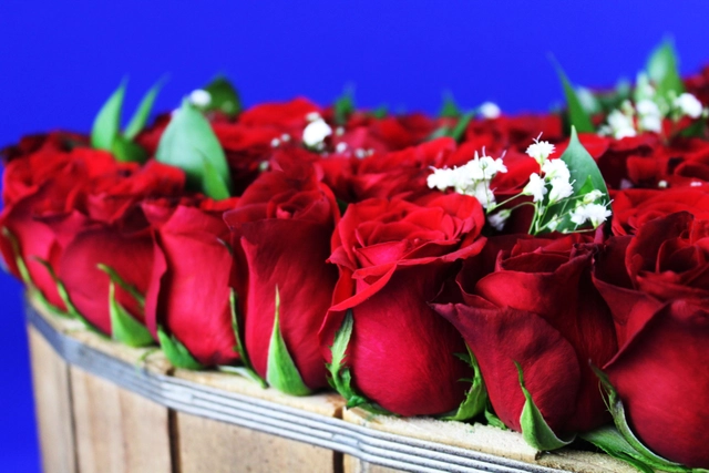 Corazón con 75 Rosas