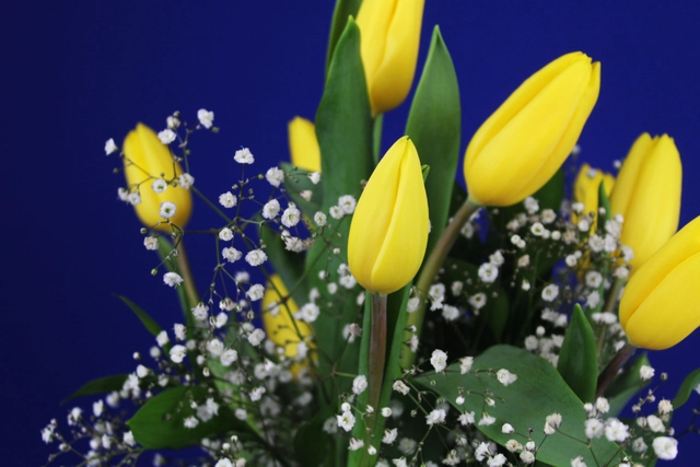 Jarrón Cerámico con 10 Tulipanes y Gypsophilia