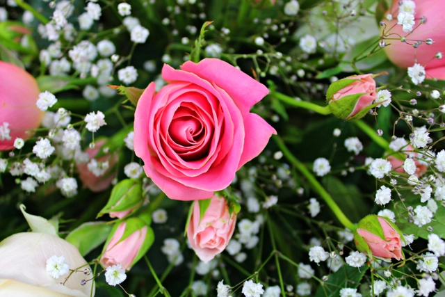 Centro de Mesa 2 en 1