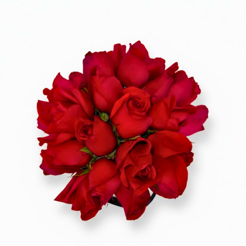 Box Negro con 24 Rosas