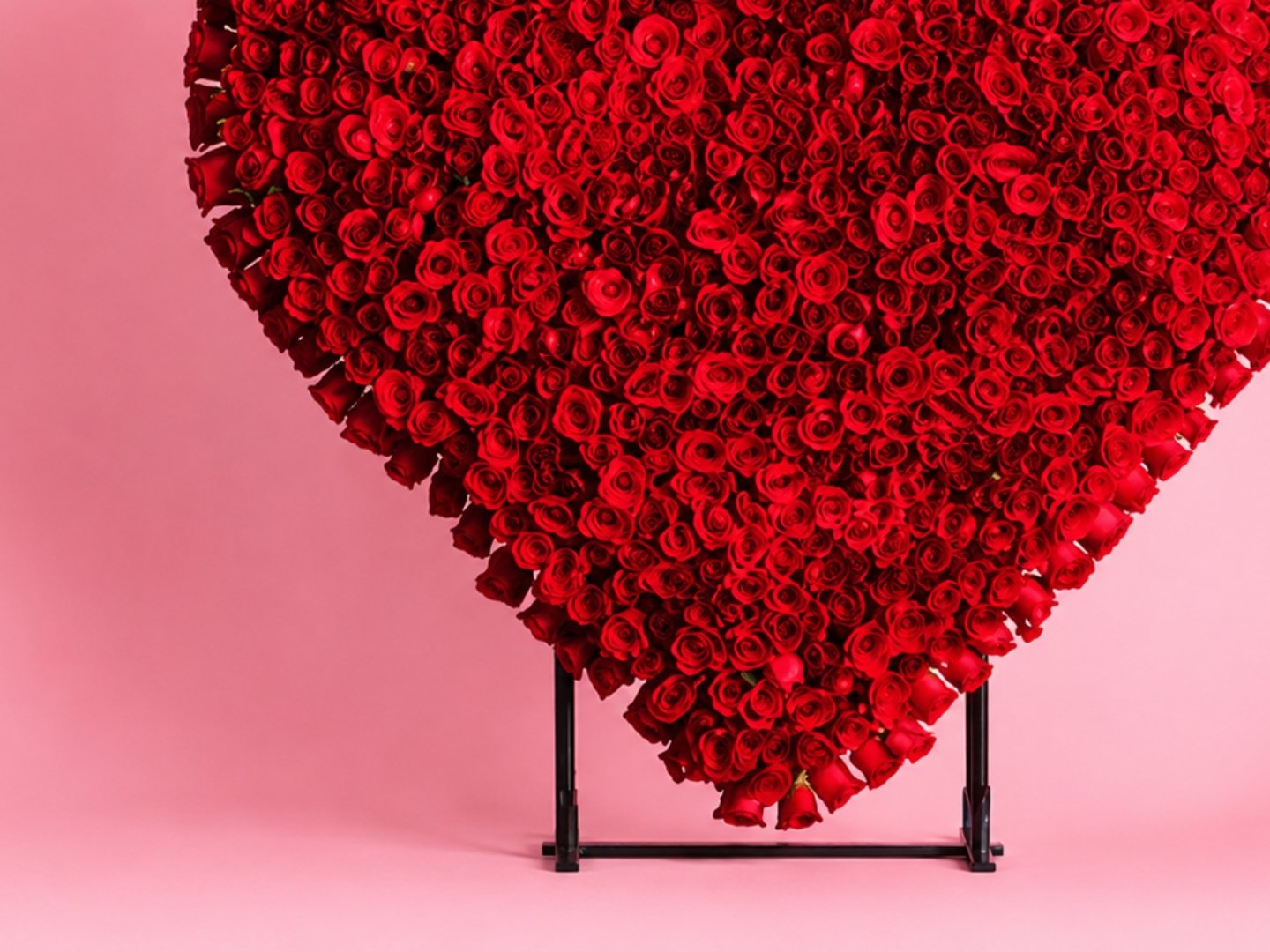 Corazón Gigante de 700 Rosas Rojas