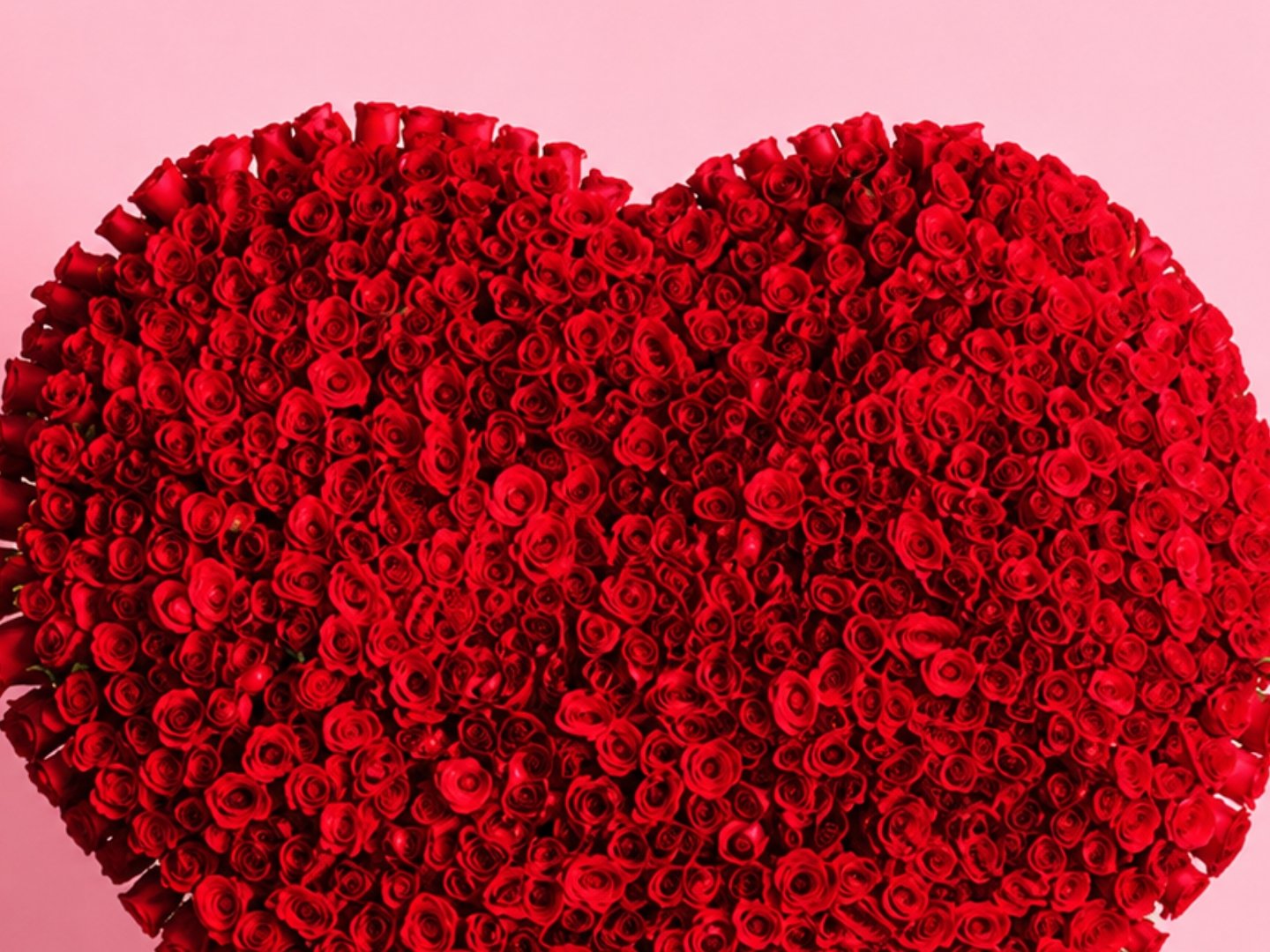 Corazón Gigante de 700 Rosas Rojas