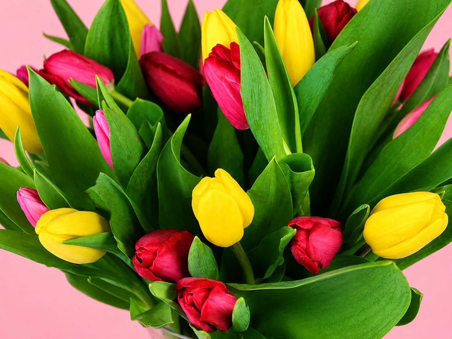30 Tulipanes Combinados en Jarrón