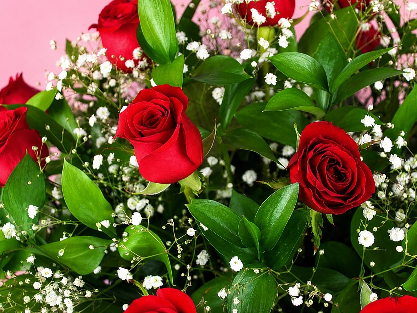 Canasta 24 Rosas, Ruscus y Gypsophilia