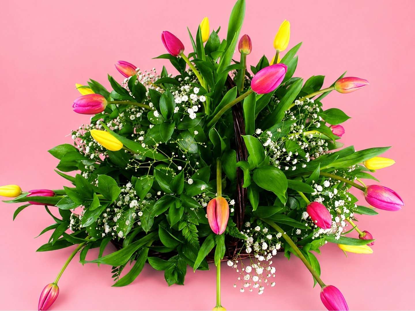 Canasta con 30 Tulipanes Multicolores y Gypsophilia
