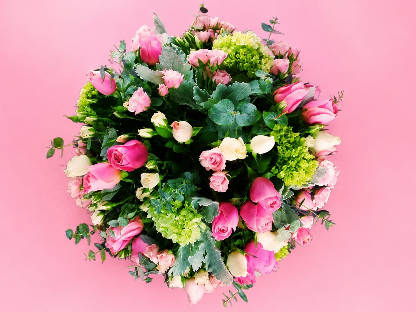Rosa Glamour