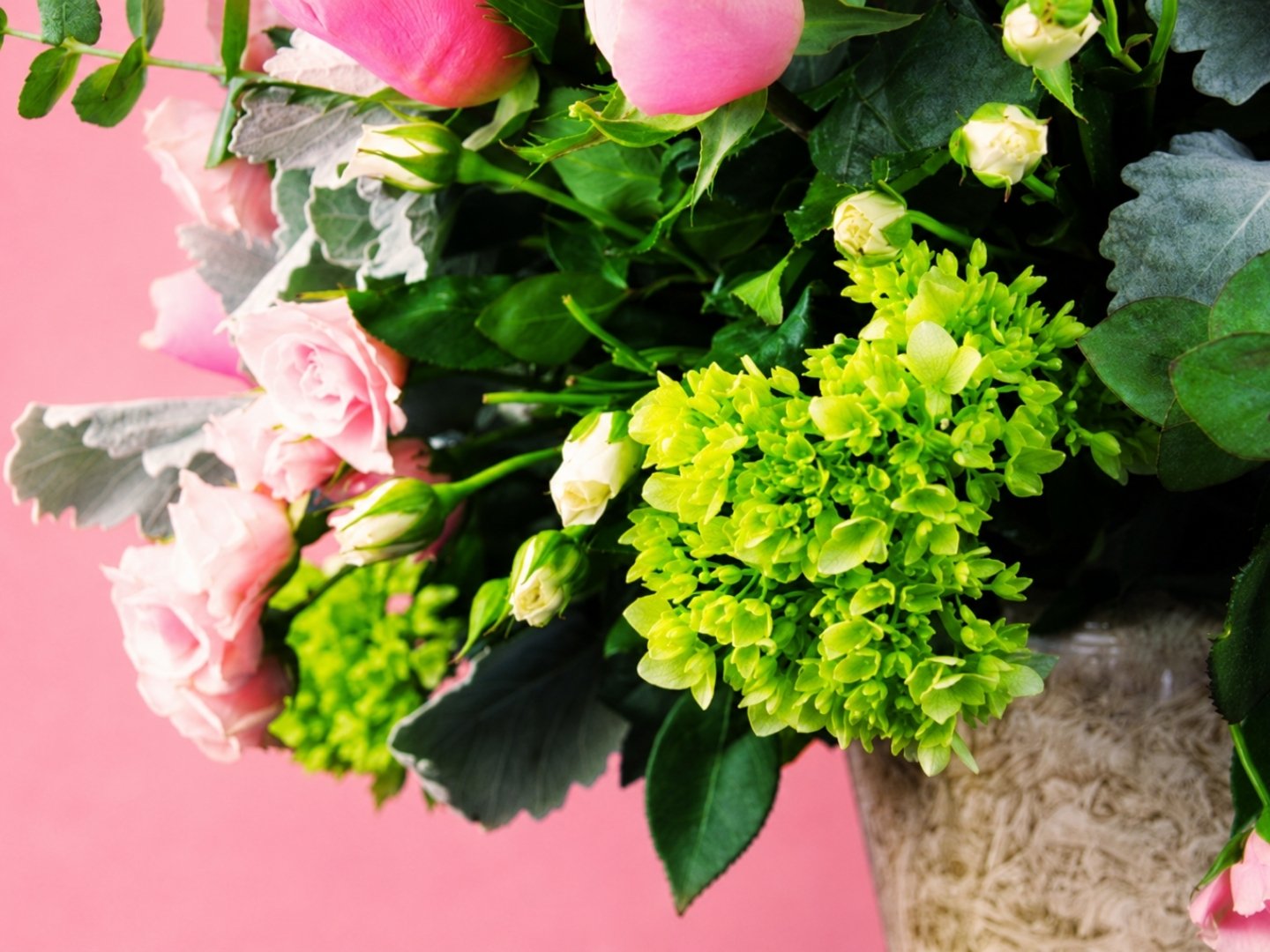 Rosa Glamour