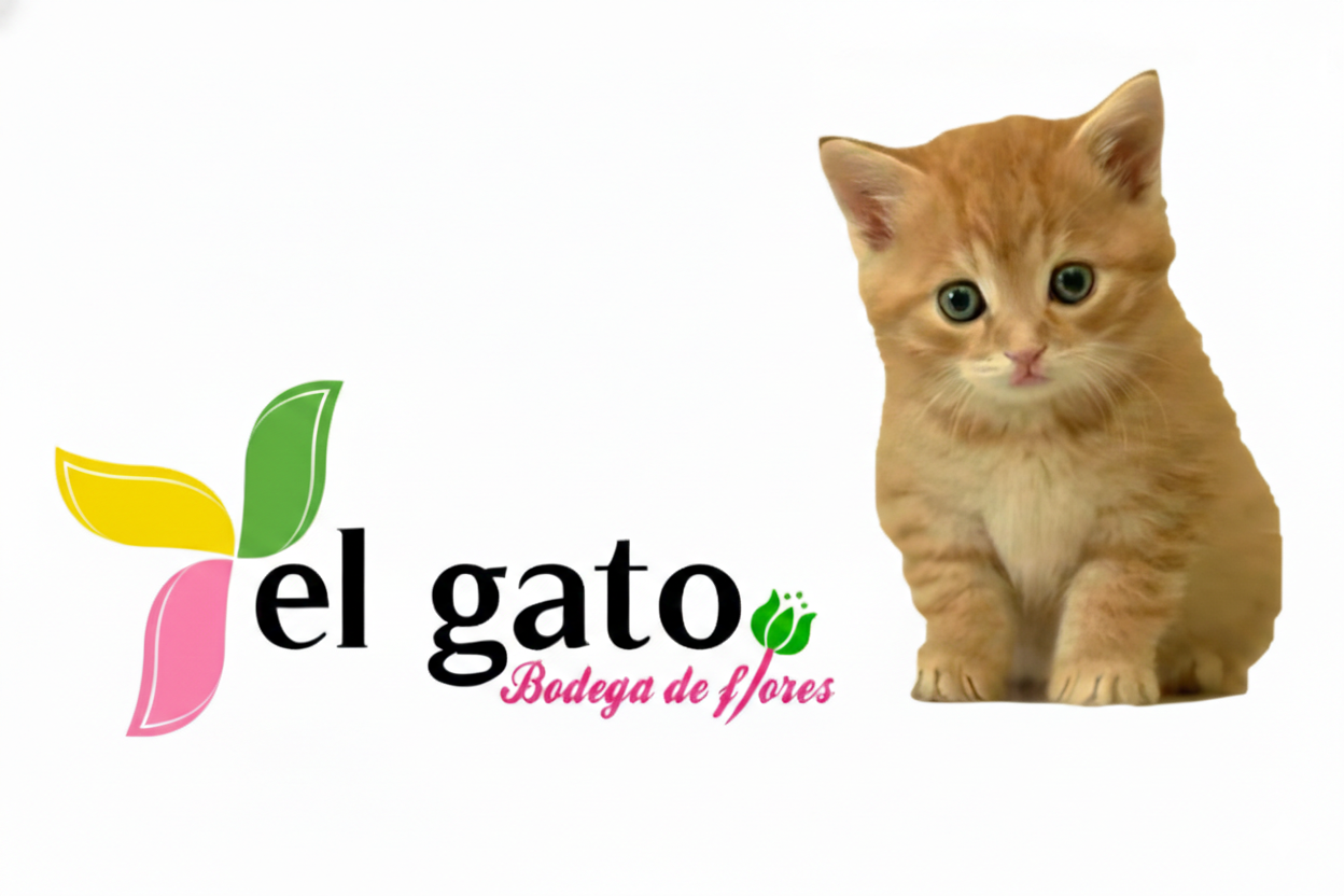 El Gato