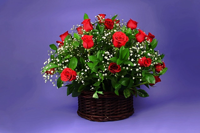 Canasta 24 Rosas, Ruscus y Gypsophilia