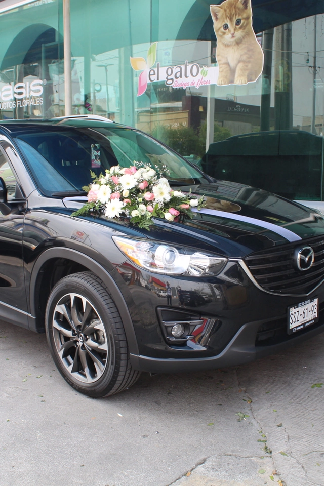 Paquete de Arreglo para Auto