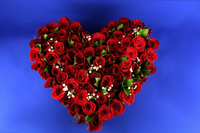 Corazón con 75 Rosas