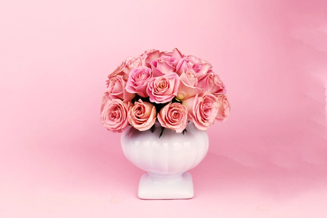 Copa Romana con 36 Rosas