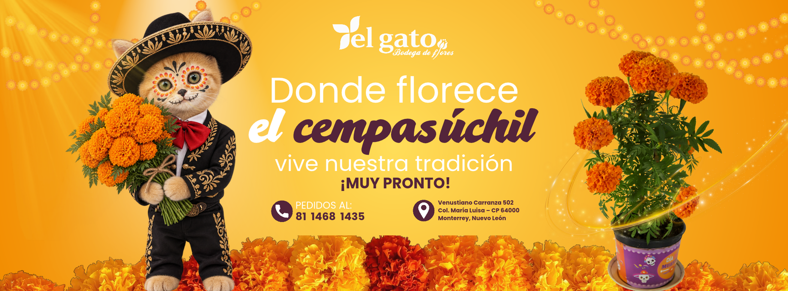 FLORES PARA TODA OCASIÓN...