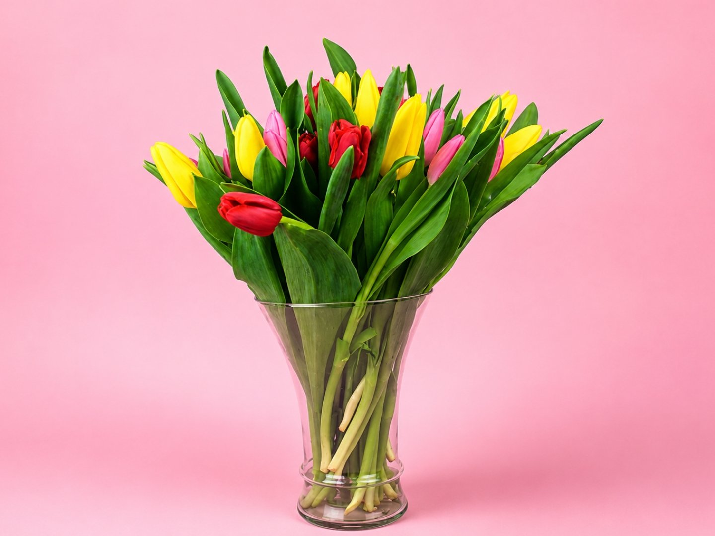 30 Tulipanes Combinados en Jarrón