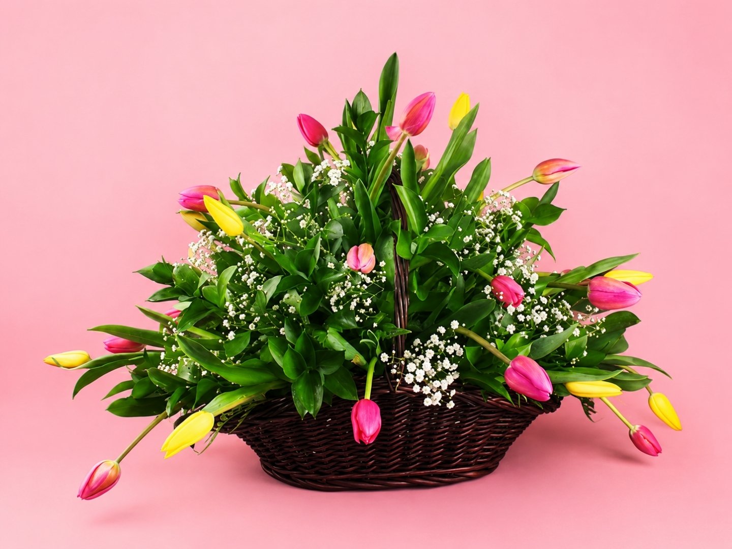 Canasta con 30 Tulipanes Multicolores y Gypsophilia